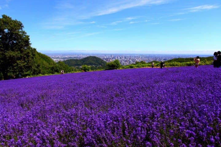 Morning To Night In Sapporo - A Northern Paradise And Urban Hub
