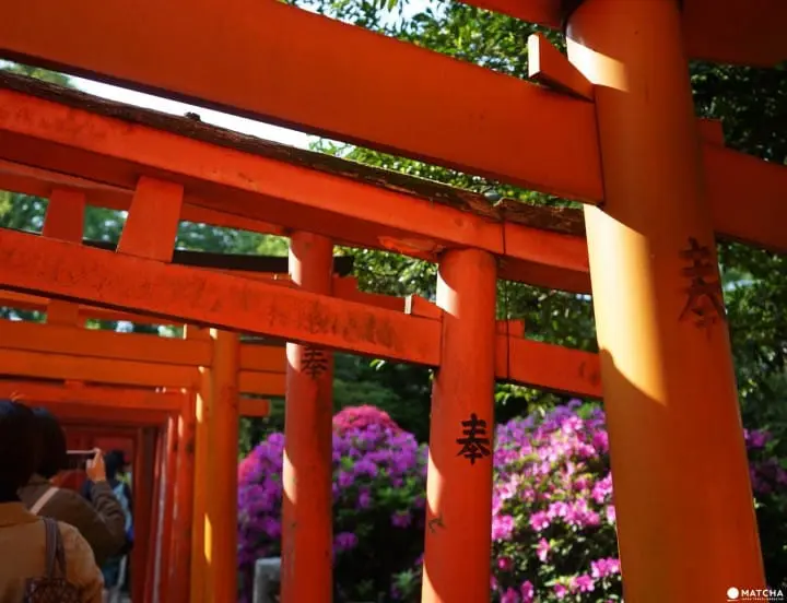 Nezu shrine red torii