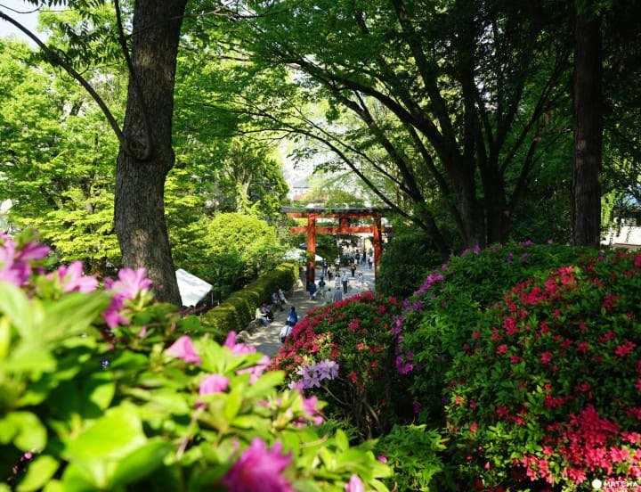 Gate at Nezu Shrine