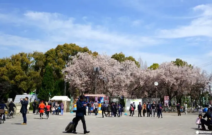Osaka Castle Park