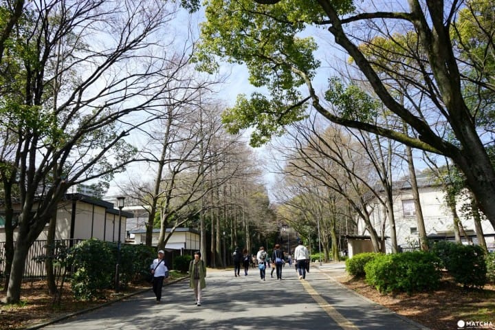 Osaka Castle Park