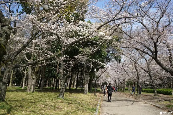 Osaka Castle Park
