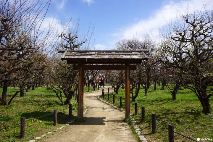 Osaka Castle Park