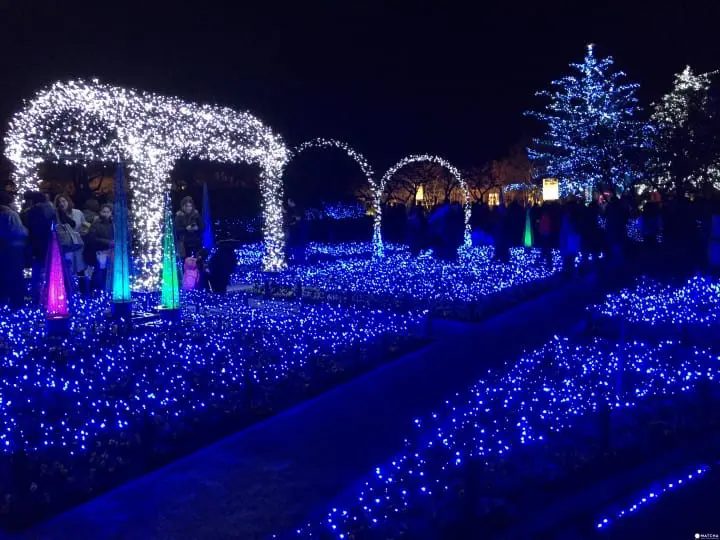炫彩奪目打卡景點　三重名花之里燈節　