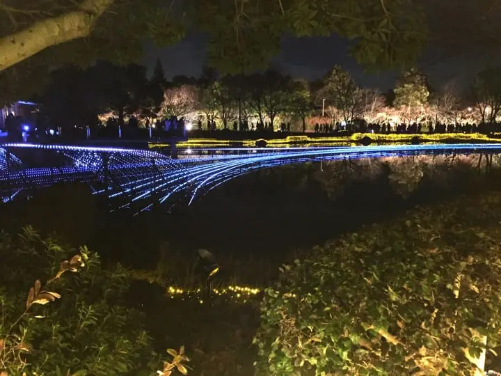 炫彩奪目打卡景點　三重名花之里燈節　