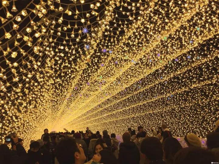 炫彩奪目打卡景點　三重名花之里燈節　