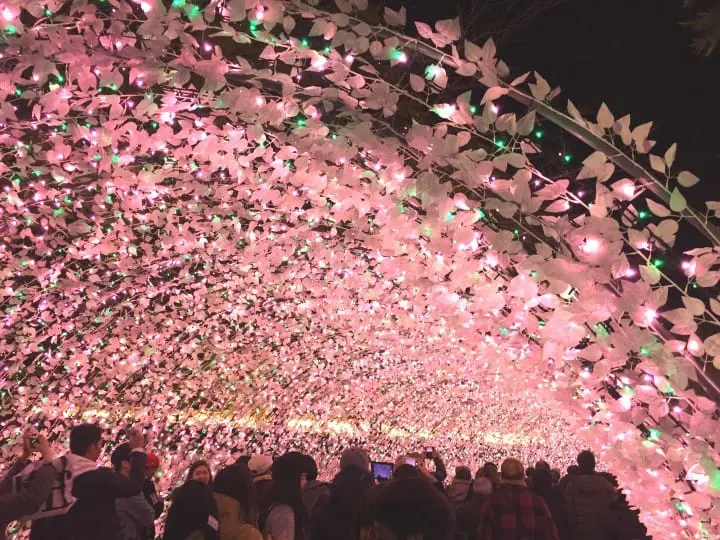 炫彩奪目打卡景點　三重名花之里燈節　