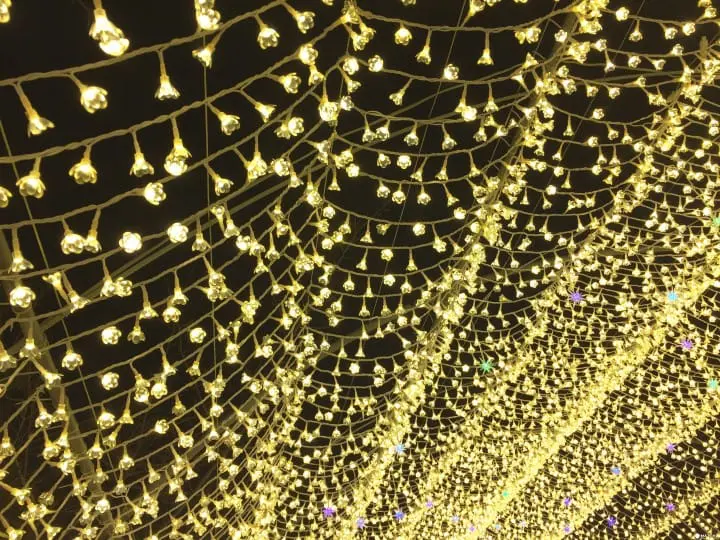 炫彩奪目打卡景點　三重名花之里燈節　