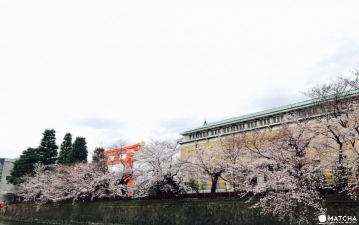 【京都】下雨不愁！梅雨季的左京岡崎好去處