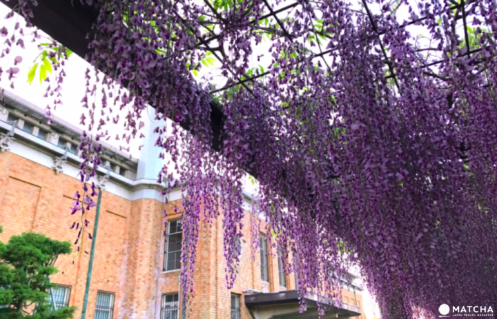 【京都】下雨不愁！梅雨季的左京岡崎好去處