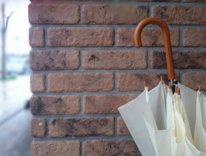 【京都】下雨不愁！梅雨季的左京岡崎好去處