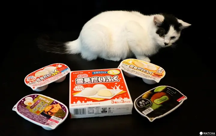 Yukimi Daifuku - Can't Decide On Mochi Or Icecream? Why Not Have both?