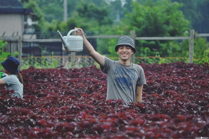 滋贺的乡村旅游
