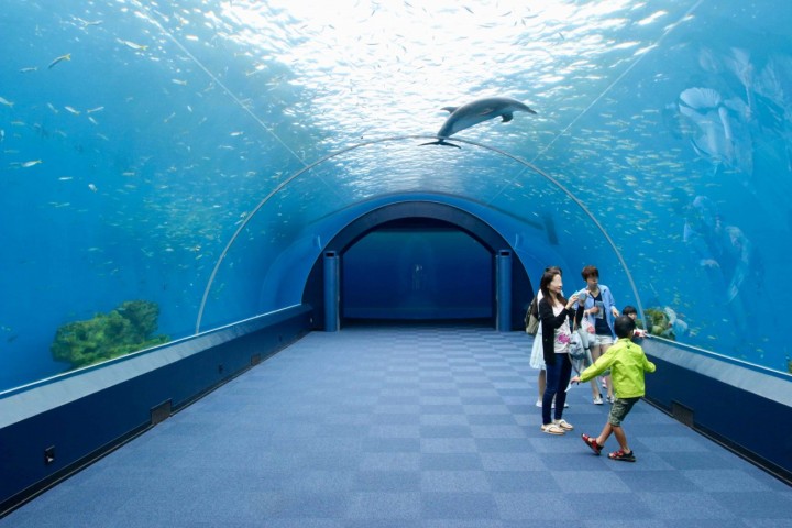 Hakkejima