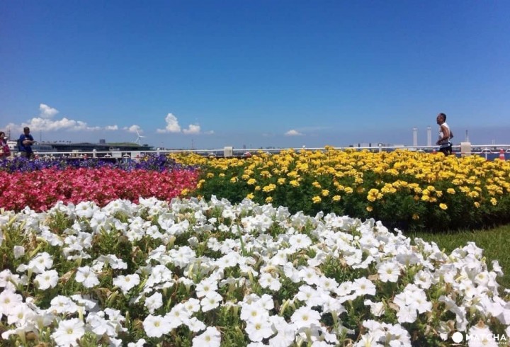 Yamashita Park