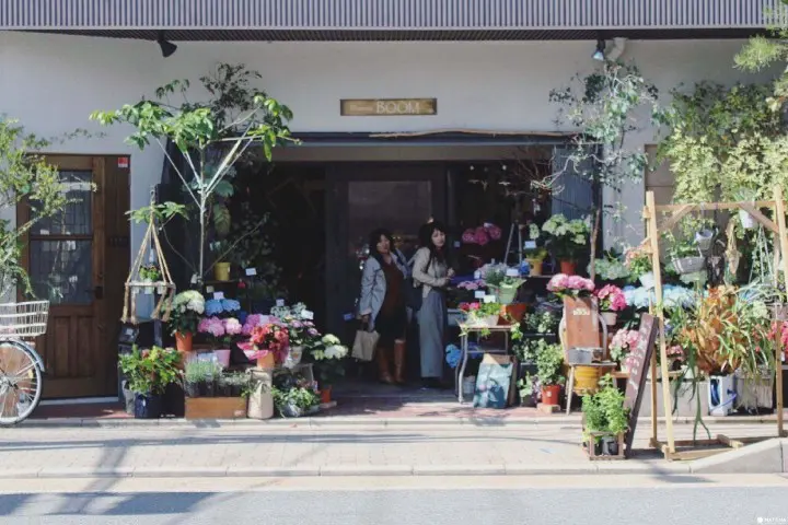 二条Blowmist Bloom