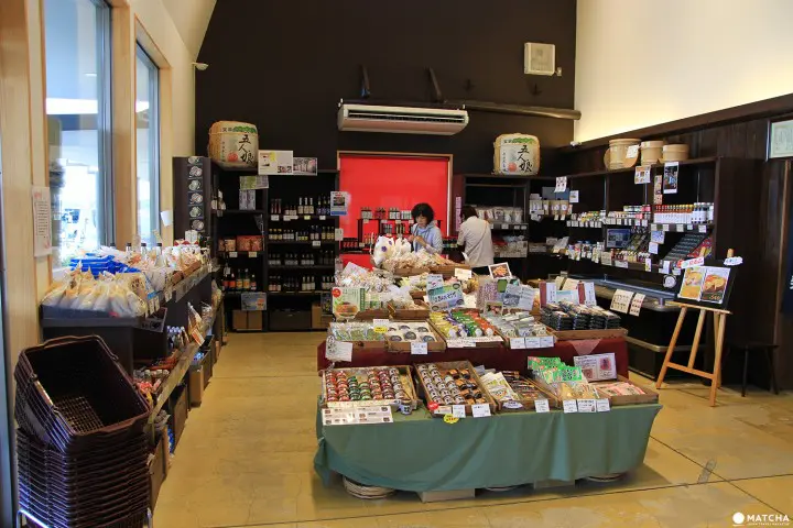 Welcome to Narita Select Bus Tour – Immerse in Japanese culture and history