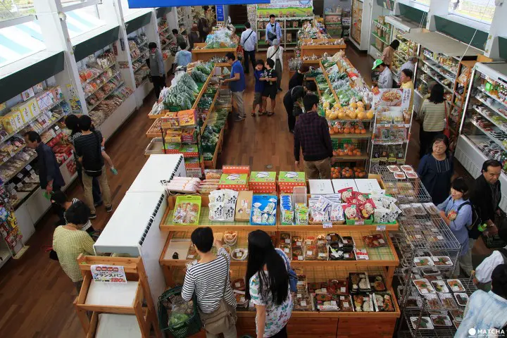 Welcome to Narita Select Bus Tour – Immerse in Japanese culture and history