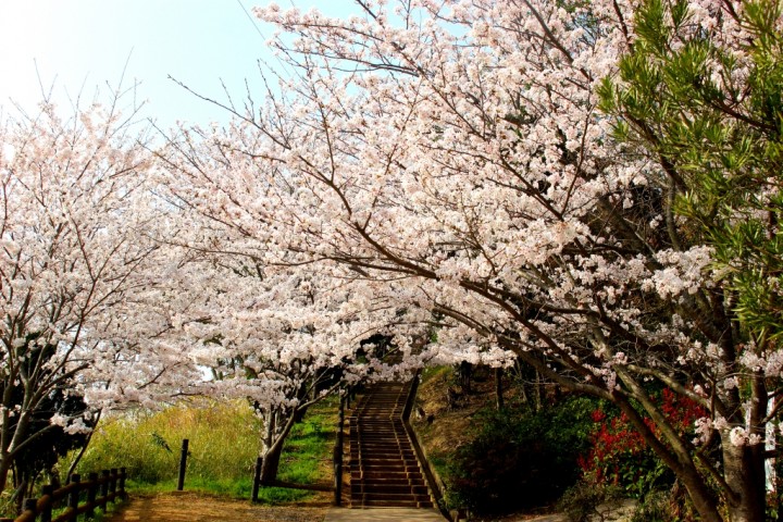 白山
