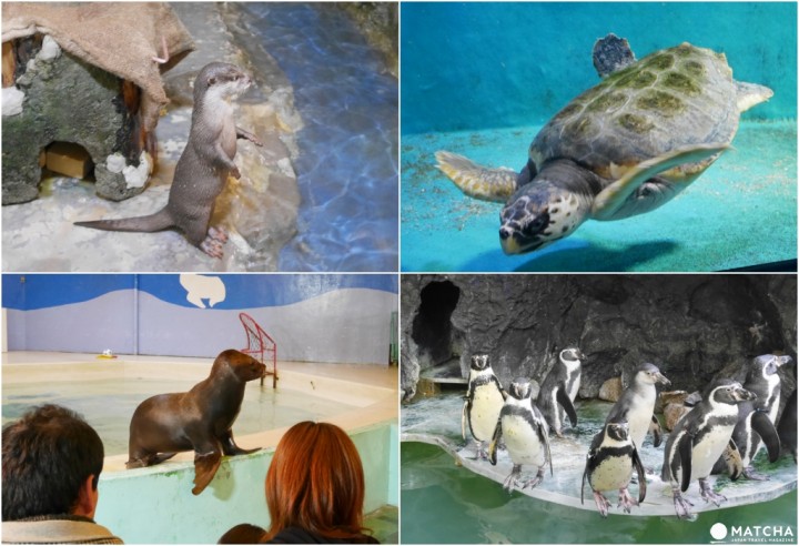 新屋島水族館