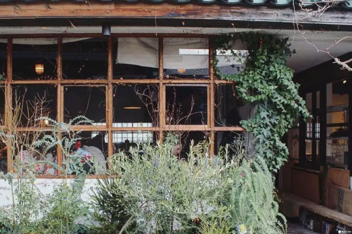 京都Clamp coffee sarasa