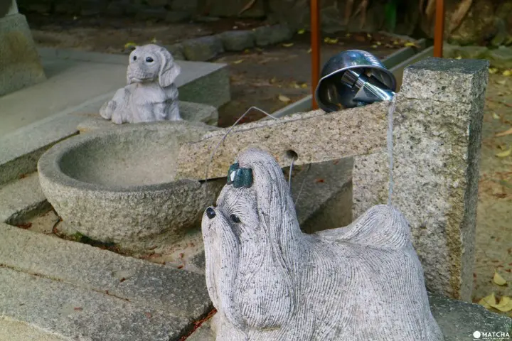 スケートファンもサッカーファンも參拝に訪れる神戸御影の弓弦羽神社