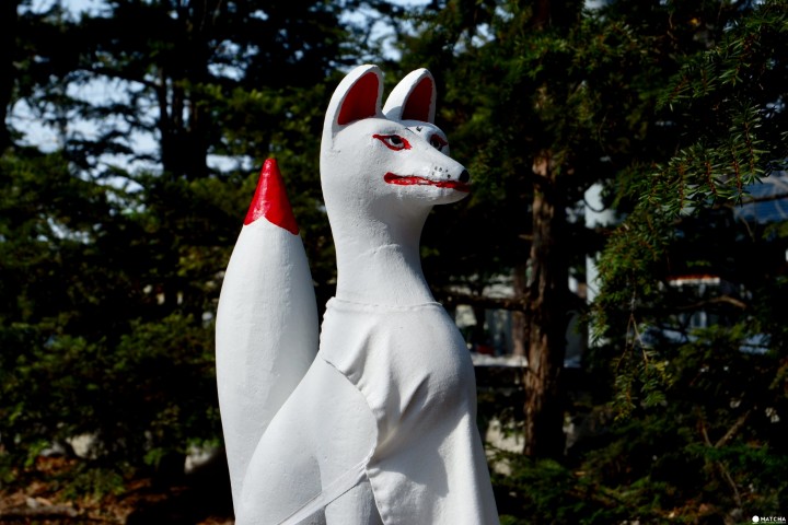 富良野神社 11