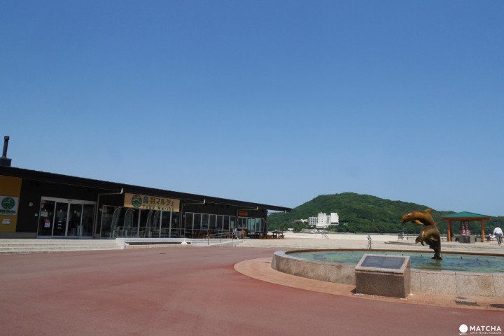 鳥羽市場