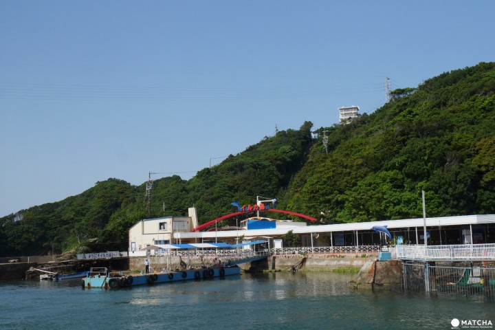 海豚島