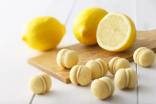 酸甜柠檬炭酸夹心饼