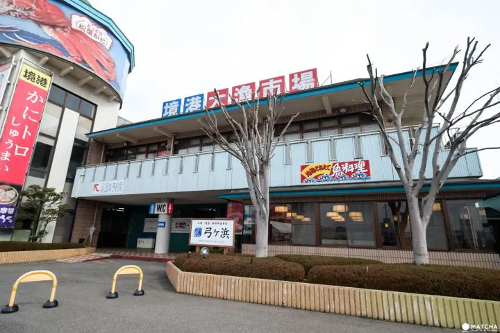 จุดปักหมุดเที่ยวในทตโตริ เสน่ห์ที่ทำให้ญี่ปุ่นมีครบทุกรส