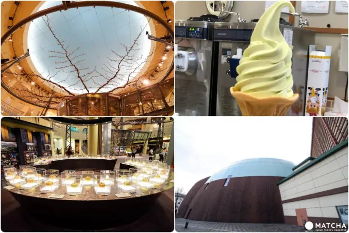 จุดปักหมุดเที่ยวในทตโตริ เสน่ห์ที่ทำให้ญี่ปุ่นมีครบทุกรส