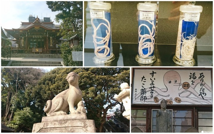 『目黑』隐藏版神社,博物馆不一样的散策路线