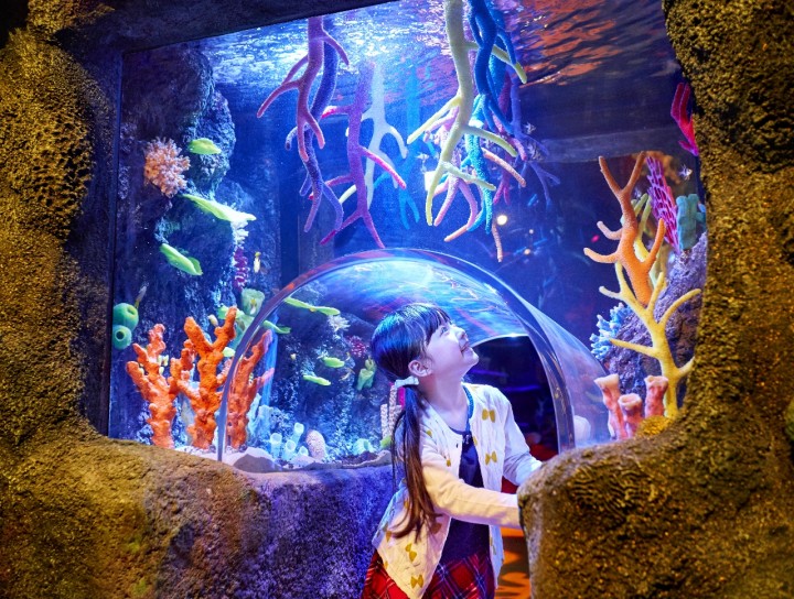 樂高樂園Sea Life