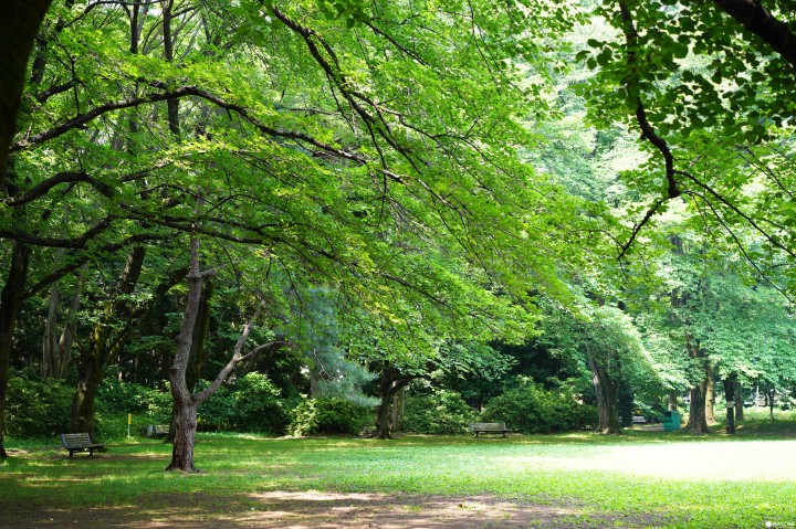 駒場東大前站:駒場公園・日式庭園