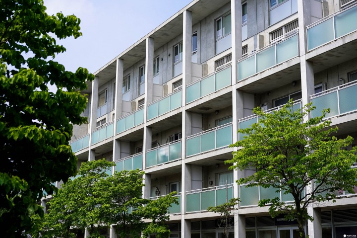 仙川安藤忠雄街道 ANDO STREET