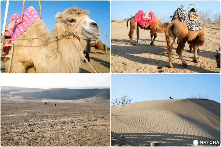 จุดปักหมุดเที่ยวในทตโตริ เสน่ห์ที่ทำให้ญี่ปุ่นมีครบทุกรส