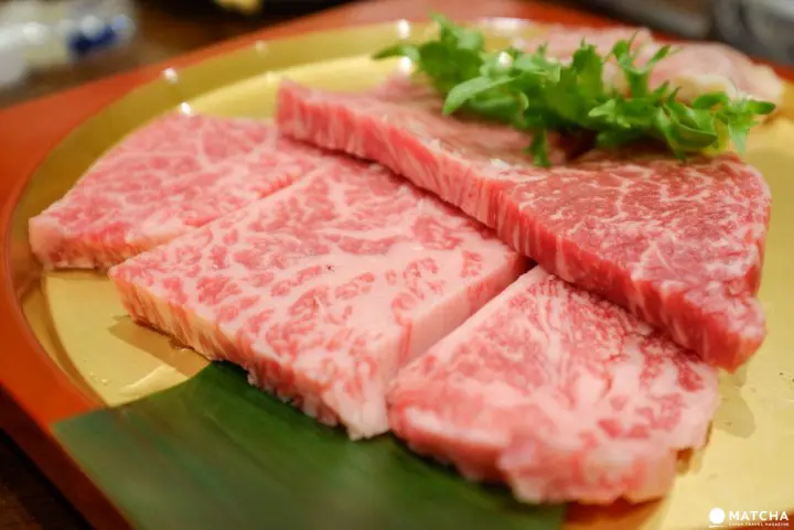 จุดปักหมุดเที่ยวในทตโตริ เสน่ห์ที่ทำให้ญี่ปุ่นมีครบทุกรส