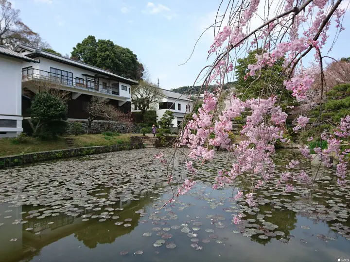 小田原 松永紀念館