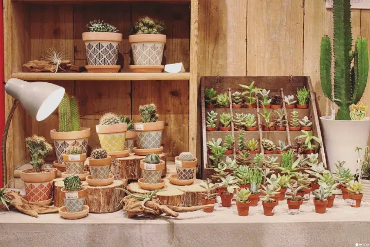 mumokuteki goods kyoto