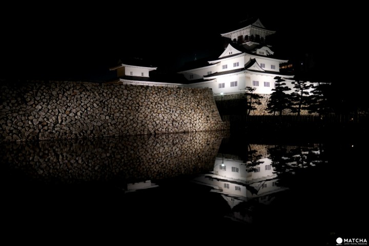 富山城夜晚