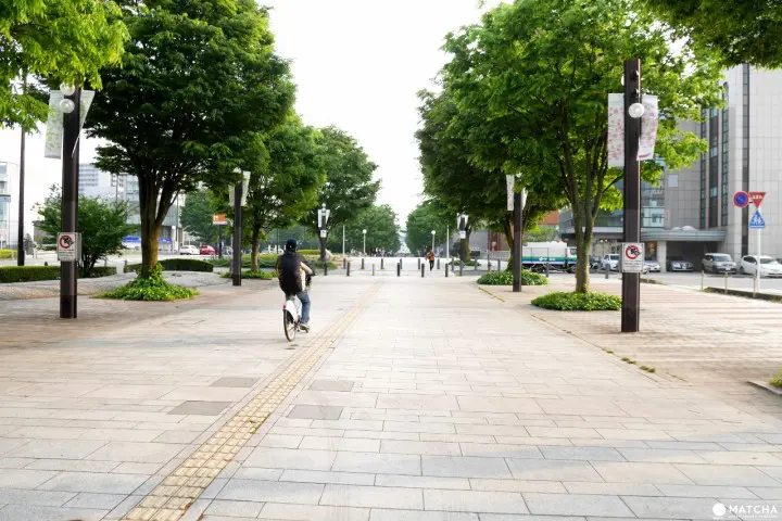 富山市骑脚踏车