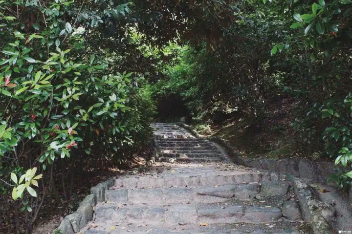 京都船冈山公园