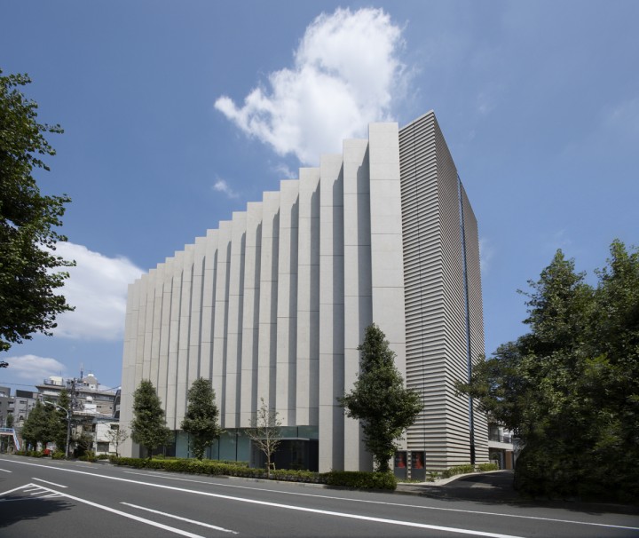 山種