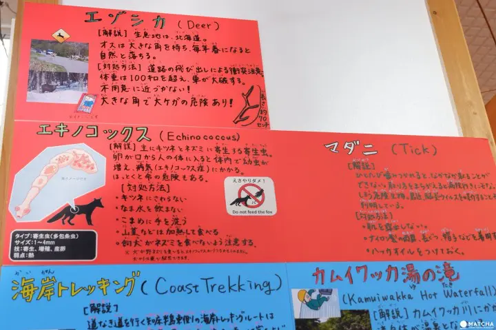 知床自然中心01