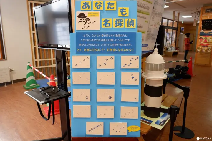 知床自然中心02