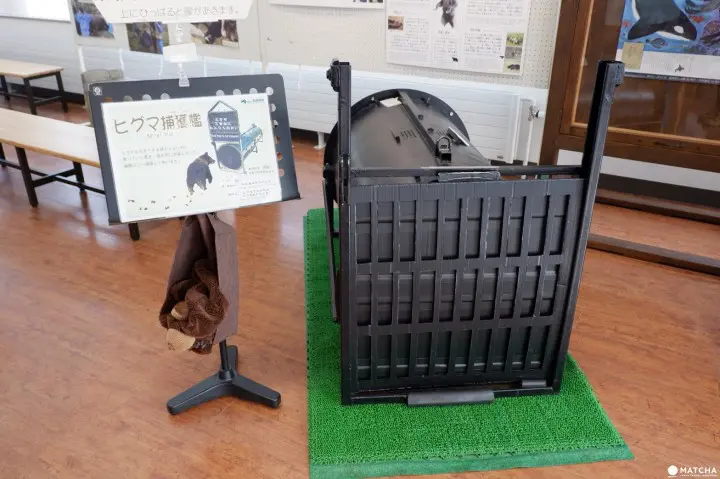 知床自然中心04