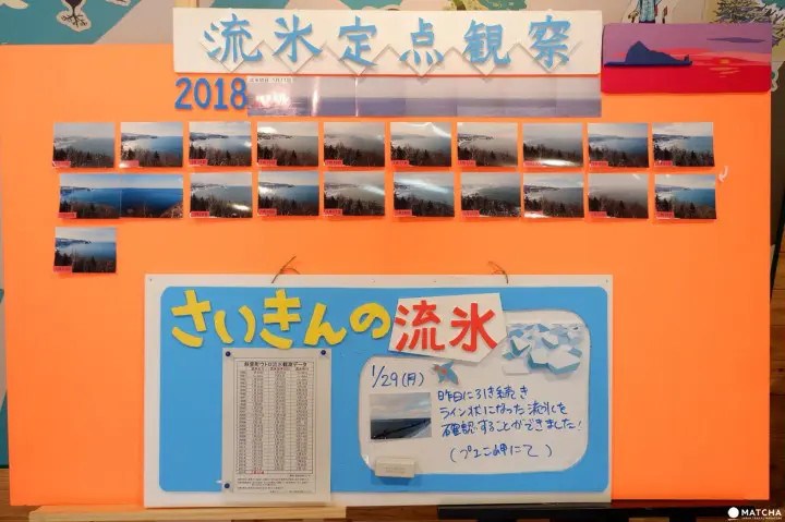 知床自然中心06