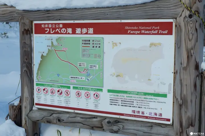 知床自然中心07