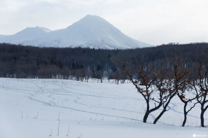 知床自然中心09